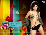 Sherlyn Chopra